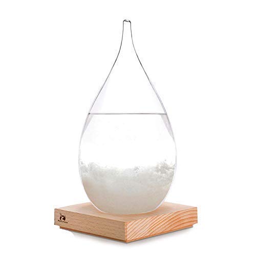 Storm Glass Weather Predictor glass Barometer Forecaster Creative