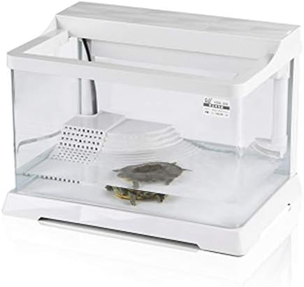 LSHUAIDJ Fish Tank, Aquarium Mini Fish Bowls Block Reptile Box USB Charger Office Table Decoration Ocean Micro-Landscape Box Miniature Pet Box