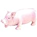 Jolly Doggy Grunters Latex Pig Large Dog Toy