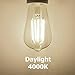 Edison LED Bulb 6 Watt, ST58 Vintage LED Filament Light Bulb, 4000K Daylight, E26 Medium Base Clear Glass Bulbs, Non dimmable, Pack of 6, by Comzler