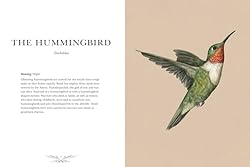 Ornithography: An Illustrated Guide to Bird Lore