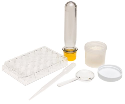 Scientific Explorer My First Science Kids Science Experiment Kit