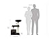 Amazon Basics Cat Tree with Base Condo - 24 x 19 x 50 Inches, Small, Dark Brown