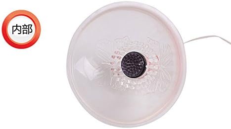 HSMazalea Breast Enlargement Papilla Massager, Vibrators For Woman 7 Speed Nipple vibrator Stimulating vibradores para as mulheres.