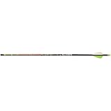 Carbon Express 50888 Adrenaline 350 6-Pk Arrows,Black