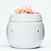 Happy Wax Grapefruit Mangosteen Scented Bear Wax Melts - Natural Strong Summer Scented Wax Melts Infused w/Essential Oils - Non Toxic Wax Melt. Scented Soy Wax Melts for Warmers (4 oz Tin)