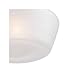 Regency Hill Floating Rustic Farmhouse Ceiling Light Semi Flush-Mount Fixture 12