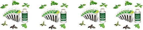 AeroGarden International Basil Seed Kit (6 pod) (Pack of 4)