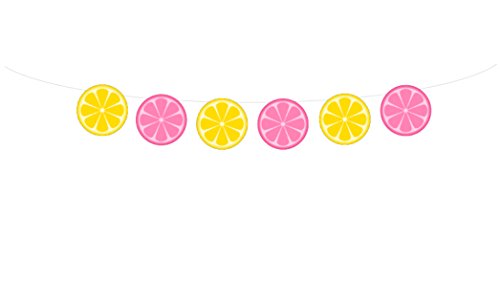 Lemonade Banner, Lemon Slices Banner, Lemonade Birthday, Lemonade Garland