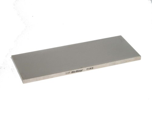 DMT D10F 10-Inch Dia-Sharp Continuous Diamond Fine