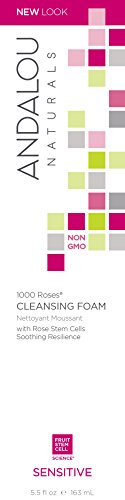 Andalou Naturals 1000 Roses Cleansing Foam, 5.5 Ounce