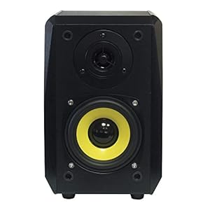 Dynavox TG-1000B rek-luidsprekers, 50 W, paar, zwart