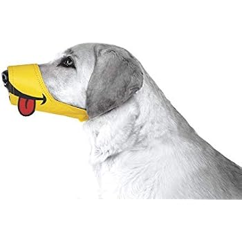 Cesar Millan Friendly Dog Muzzle Size