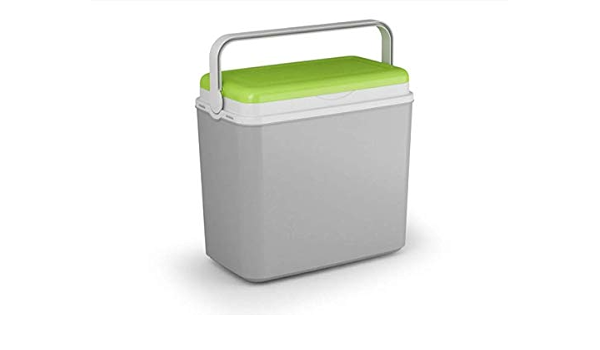 VDC Nevera Rigida Green Whale Gris/Verde (36 LT) : Amazon.es ...