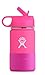 Hydro Flask 12 oz Kids Sippy Double Wall Vacuum Insulated Stainless Steel Sports Water Bottle, Wide Mouth with BPA Free Straw Lid and Silicone Boot, Flamingo