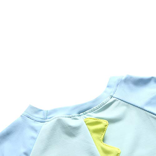 Baby Toddler Boys Two Pieces Swimsuit Set Swimwear Dinosaur Bathing Suit Rash Guards with Hat UPF 50+ (Lake Blue, 9-18 Months(Height:29"-33"/73-85cm))