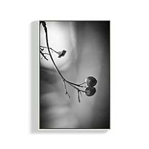 Canvas Wall Art for Living Room, Bedroom Plants Framed Canvas Prints for Home Decoration Ready to Hang - 16x24 inches