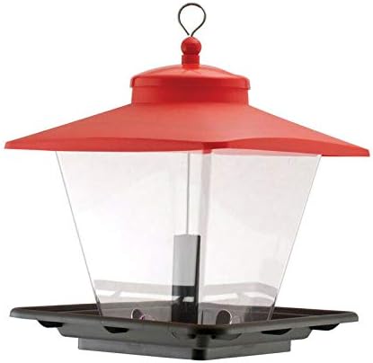 Amazon Com Woodstokstore Audubon Wild Bird 7 Lb Plastic Cafe
