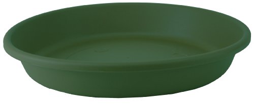 Akro Mils SLI10000B91 Classic Saucer for 10-Inch Classic Pot, Evergreen, 10.75-Inch