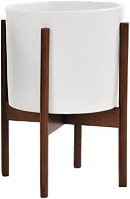 Modernica Case Study Small Cylinder With Wood Stand | White