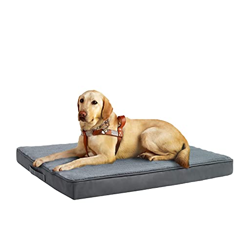 jumbo orthopedic dog bed