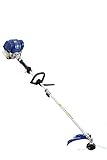 Wild Badger Power WBP31BCF 31 cc Gas 4-Cycle 2-in-1