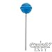 Light Blue Dum Dums Color Party - Blue Raspberry Flavored - 75 Count Bag - 12.8 Ounces - Includes Free How to Build a Candy Buffet Guide