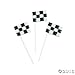 Checkered Flag Lollipop Suckers - 12 ct