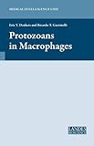 Protozoans in Macrophages, , 1587061503