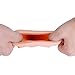 Couple Membrum Case Cover Overstriking Ipsism Intrest Stick Wand Fun Rod Sleeve for Best Gift for Travel - 11 inch