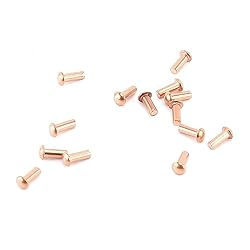 Aicosineg Solid Rivets,200Pcs 0.08" Dia x
