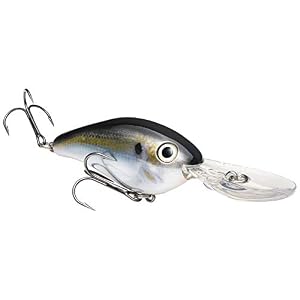Strike King Pro 8xd Crankbait