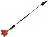 Gas Powered Pole Saw, 21.2CC, 10 in. L