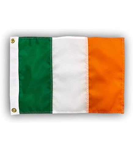 イルミナティカード　The Irish Flu THE IRISH FLU - ULTRA RARE ASSASSINS ILLUMINATI INWO Card Game New