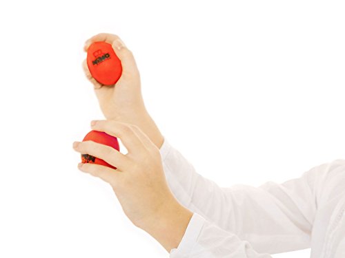 Nino Percussion NINOSET540 Kids Four Piece Plastic Egg Shaker Set with Assorted Colors (VIDEO)