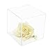 Acrylic Display Case – Versatile Small Rectangle Clear Acrylic Boxes for Display with Black Base – Display Case for Collectibles, Action Figures, Models – 4