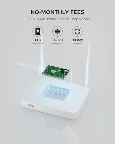 Hiseeu Camara de Seguridad Exterior, Kit de 4 cámaras Inalámbricas de 4 MP con Energía Solar, WiFi de 2,4 G y 5 G, Visión Nocturna a Color, Visión de 360°, Grabación Local en Disco Duro de 1TB