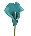 Duovlo 20pcs Calla Lily Bridal Wedding Bouquet Lataex Real Touch Artificial Flower Home Party Decor (Peacock Blue)