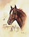 4 Horse Art Prints Mare Pictures Foal Posters Home Decor Interiors