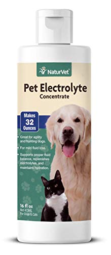 electrolyte for dogs
