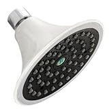 Niagara N2517 Sava Spa 1.75 GPM Fixed-Mount Showerhead, White