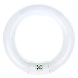 Luxrite LR20570 (6-Pack) FC8T9/CW 22-Watt 8 INCH T9 Fluorescent Circular Light Bulb, Cool White 4100K, 1180 Lumens, G10Q 4-Pin Base