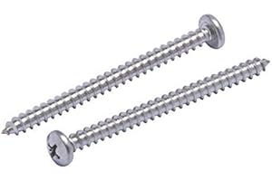 Bolt Dropper #10 X 2-1/2" Pan Head Phillips Wood Screw, (25pc), 18-8 (304) Stainless Steel Screws