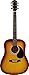 Fender Squier Dreadnought Acoustic Guitar - Sunburst Learn-to-Play Bundle with Gig Bag, Tuner, Strap, Strings, Picks, String Winder, Fender Play, and Austin Bazaar Instructional DVD