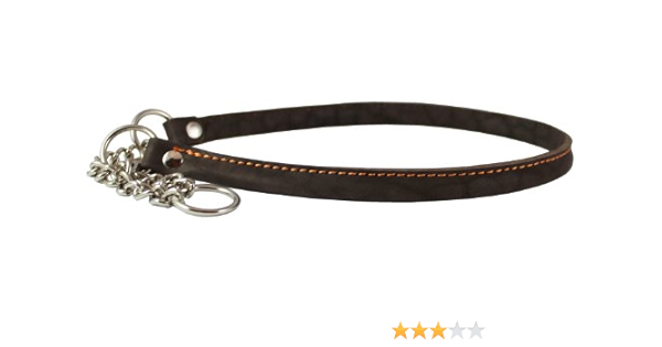 martingale collar for pitbull