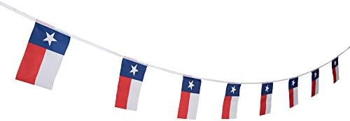 100 Feet Texas Lone Star State Flag Banner Tx State Flag Banner