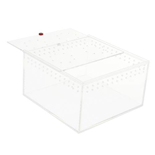 image for B Blesiya Holes Design Reptiles Amphibians Habitat Terrarium Vivarium 