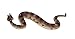 Safari Ltd Incredible Creatures Sidewinder Rattlesnake