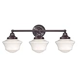 Schoolhouse Bathroom Light with Three Lights in Bronze Finish