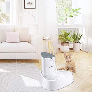 isYoung Cat Fountain LED Pet Water Fountain Ultra Quiet Automatic Pet Water Dispenser with Adjustable Water Flow and Activated Carbon Filter for Dogs, Cats, Birds and Small Animals